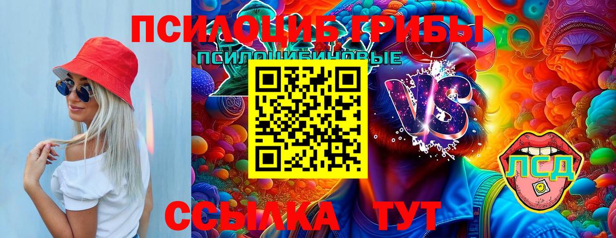 Галлюциногенные грибы Magic Shrooms  Вход с VPN  как найти закладки  Будённовск  Псилоцибиновые грибы Cubensis 