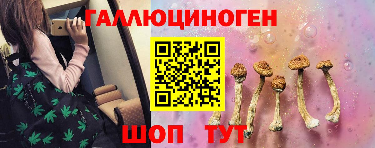 Галлюциногенные грибы мухоморы Будённовск